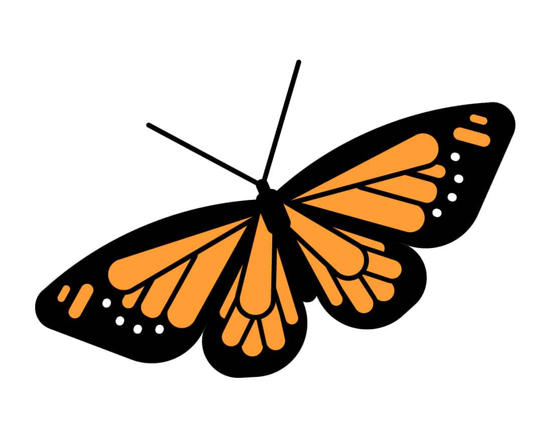 monarch2